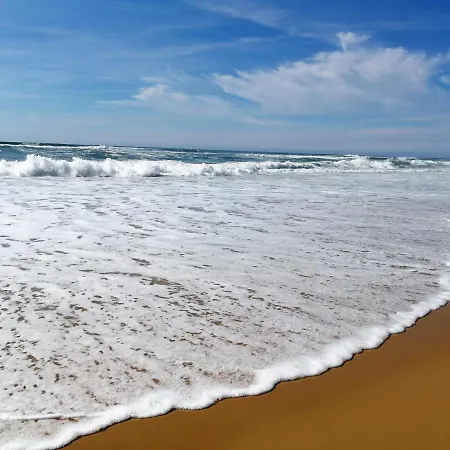 Patio Avec Piscine, à 400m Des Commerces Et 6km De - Animaux Admis - Fr-1-239-83 Casa de Férias *